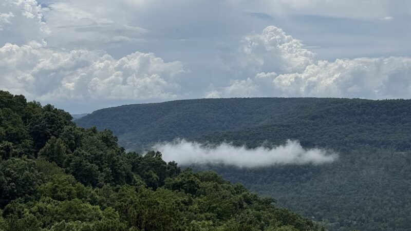 Sam's Loop Trail - Mt Judea, AR