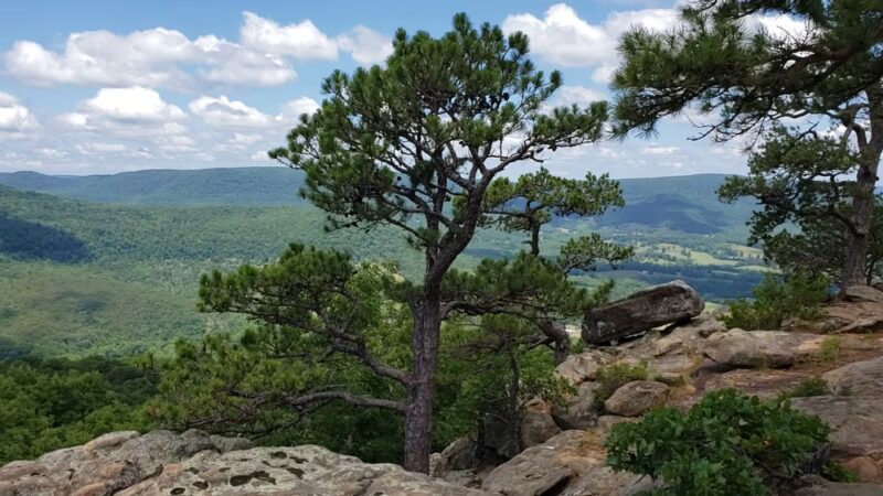 Sam's Loop Trail - Mt Judea, AR