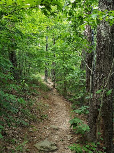 Sam's Loop Trail - Mt Judea, AR