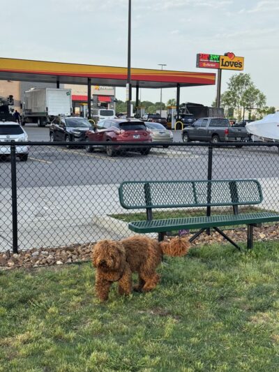 Dog Park at Love's Travel Stops - Mt. Juliet, TN