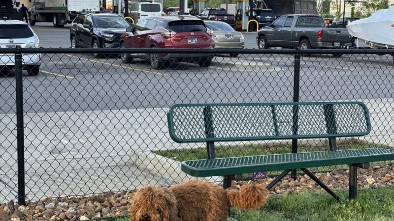 Dog Park at Love's Travel Stops - Mt. Juliet, TN
