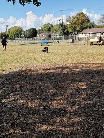 Mount Juliet Bark Park - Mt. Juliet, TN