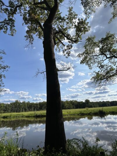 Rancocas Woods Trails - Mt Laurel Township, NJ