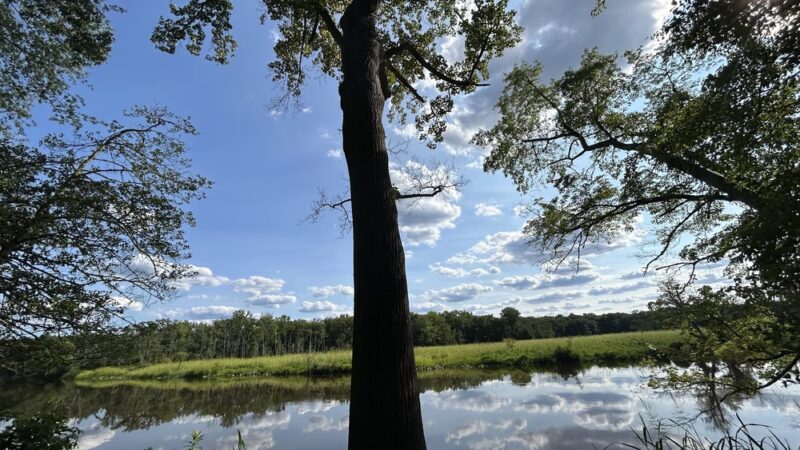 Rancocas Woods Trails - Mt Laurel Township, NJ