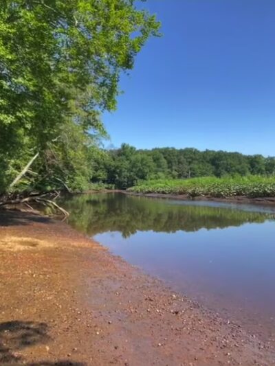 Rancocas Woods Trails - Mt Laurel Township, NJ