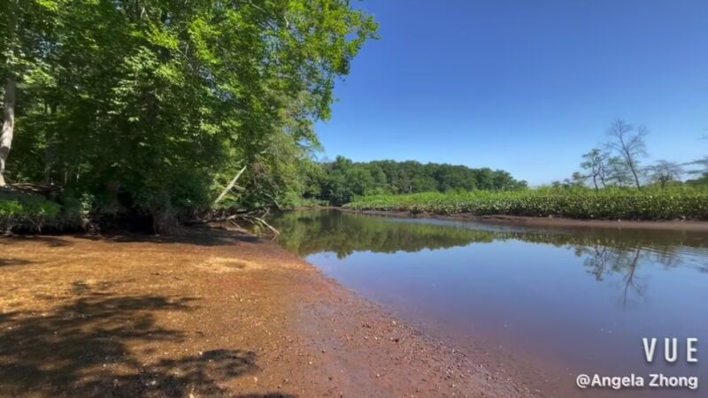 Rancocas Woods Trails - Mt Laurel Township, NJ