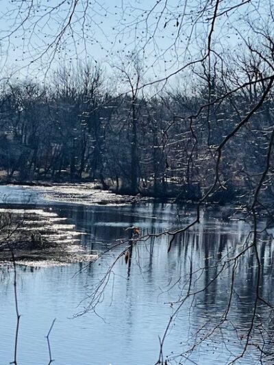 Rancocas Woods Trails - Mt Laurel Township, NJ