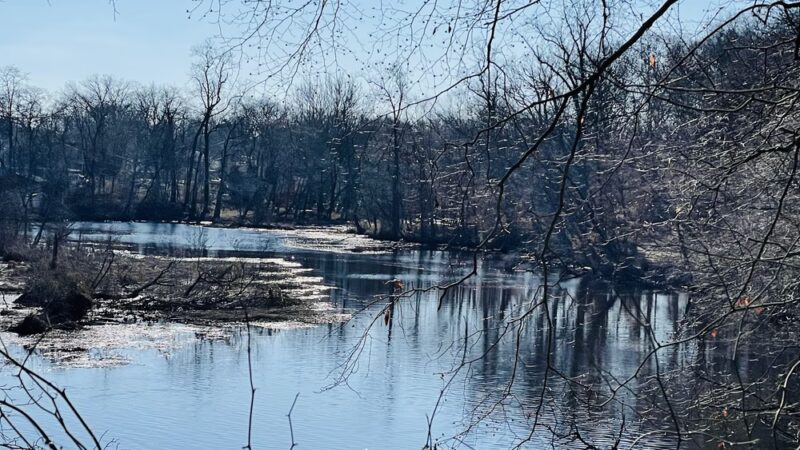 Rancocas Woods Trails - Mt Laurel Township, NJ
