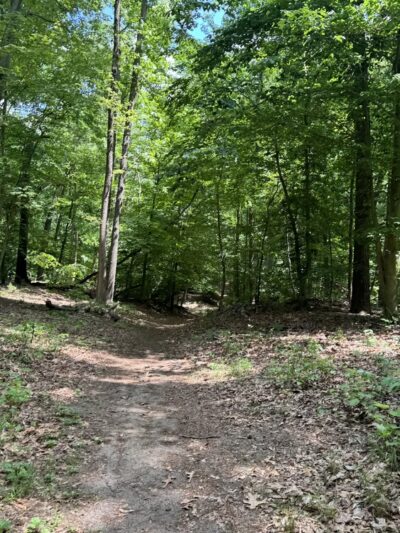 Rancocas Woods Trails - Mt Laurel Township, NJ