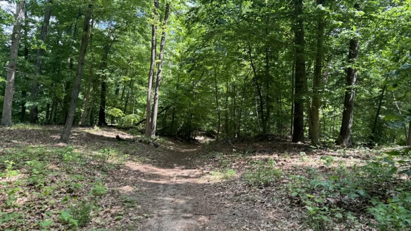 Rancocas Woods Trails - Mt Laurel Township, NJ
