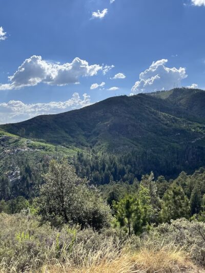Mount Lemmon Trailhead Entrance - Mt Lemmon, AZ