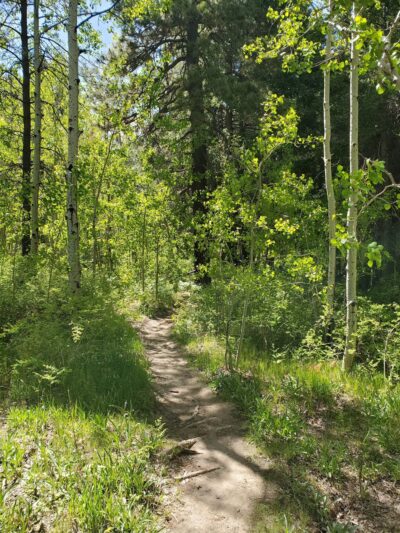 Mount Lemmon Trailhead Entrance - Mt Lemmon, AZ