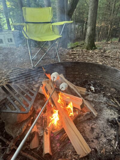 Wilderness Campground - Mt Lookout, WV