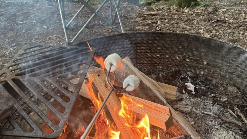 Wilderness Campground - Mt Lookout, WV