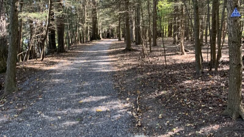 Al Lorenz Park - Mt Morris, NY