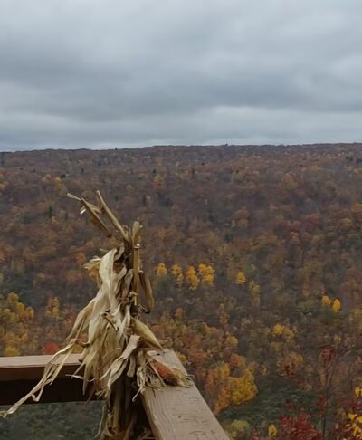 Finger Lakes Trail - Mt Morris, NY