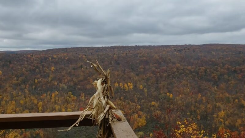 Finger Lakes Trail - Mt Morris, NY