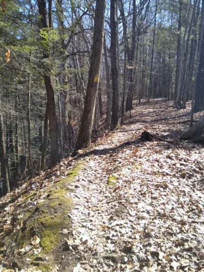Finger Lakes Trailhead - Mt Morris, NY