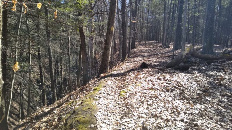 Finger Lakes Trailhead - Mt Morris, NY