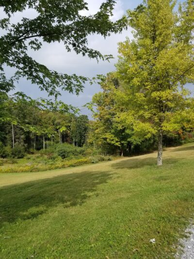 Mt Nebo - Mt Nebo, WV