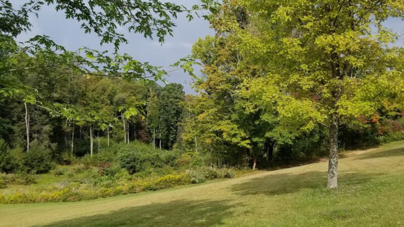 Mt Nebo - Mt Nebo, WV