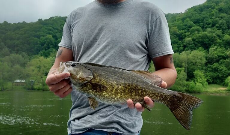 New River Gorge Outfitters - Mt Nebo, WV