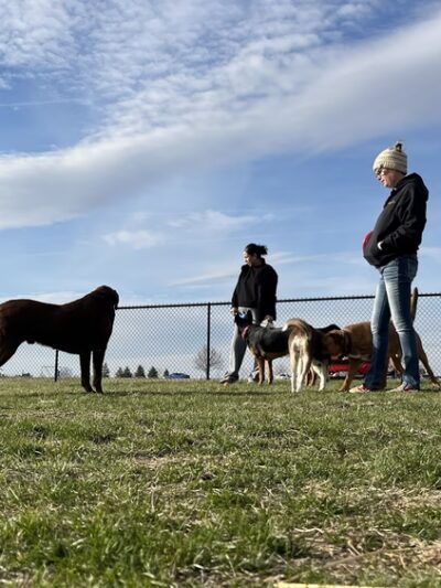 East Lake Park - Dog Park - Mt Pleasant, IA