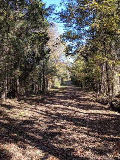 Buffalo Creek Preserve - Mt Pleasant, NC