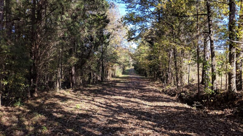 Buffalo Creek Preserve - Mt Pleasant, NC