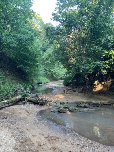 Buffalo Creek Preserve - Mt Pleasant, NC