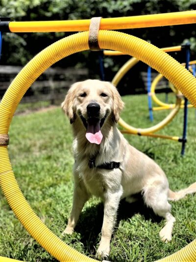 Tuscarora's Country Club for Dogs - Mt Pleasant, NC