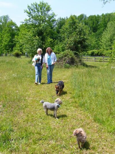 Tuscarora's Country Club for Dogs - Mt Pleasant, NC