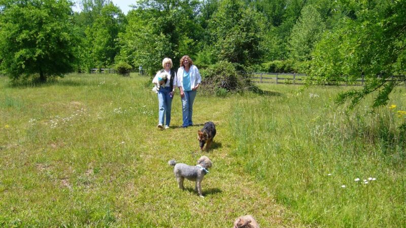 Tuscarora's Country Club for Dogs - Mt Pleasant, NC