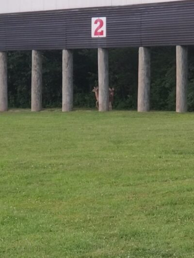 Evergreen Drive-In Theater - Mt Pleasant, PA