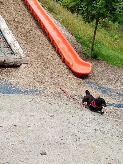 Giant Slide - Mt Pleasant, PA