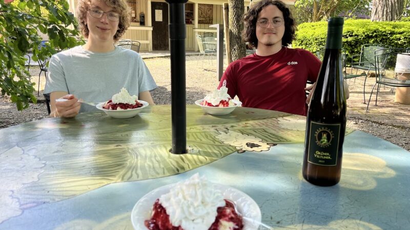 Sand Hill Berries - Mt Pleasant, PA