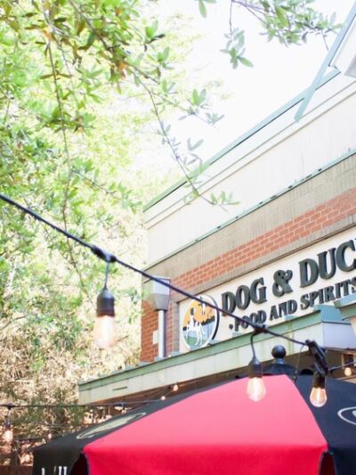 Dog and Duck - Mt Pleasant, SC