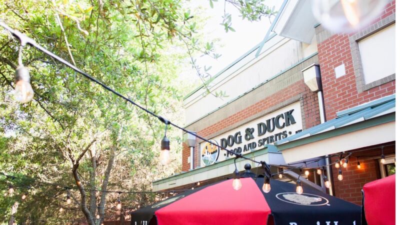 Dog and Duck - Mt Pleasant, SC