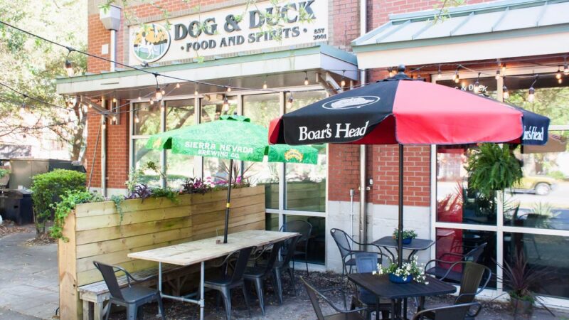 Dog and Duck - Mt Pleasant, SC