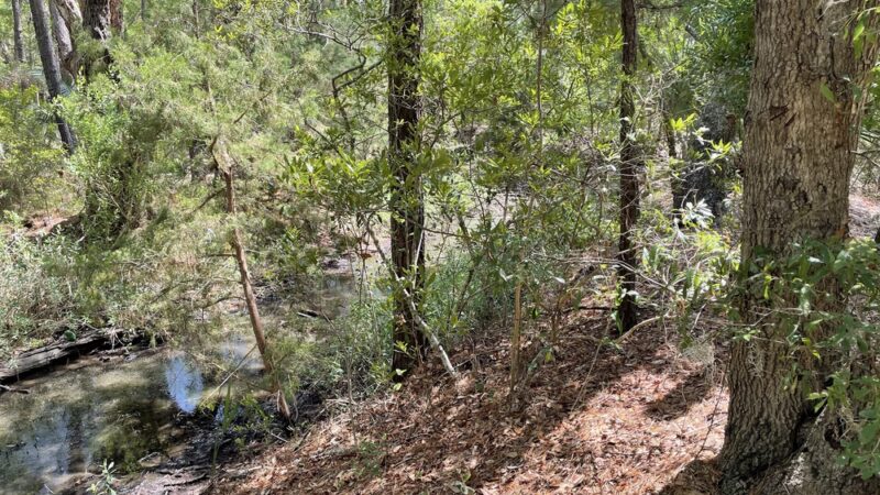 Fort Palmetto Park - Mt Pleasant, SC