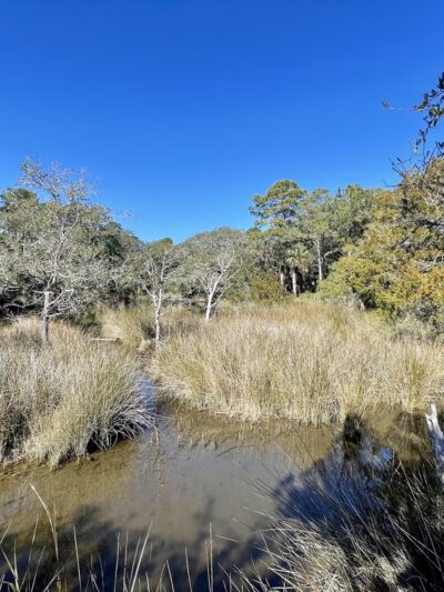 Fort Palmetto Park - Mt Pleasant, SC