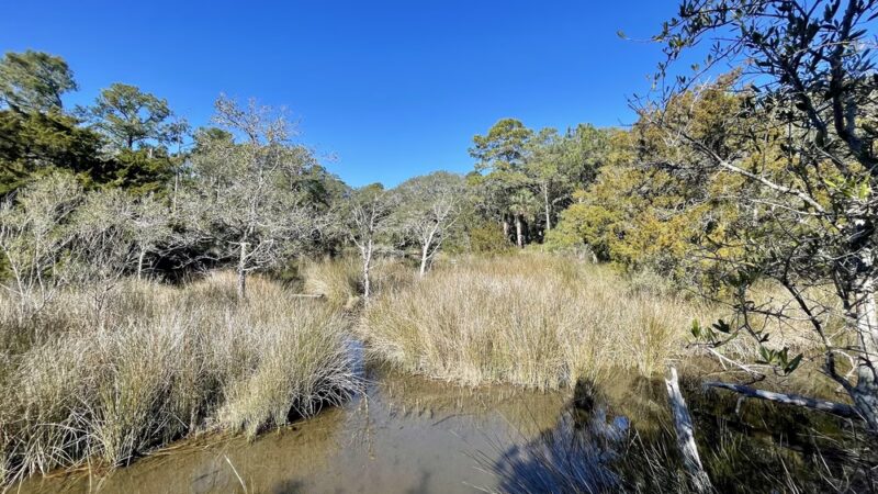 Fort Palmetto Park - Mt Pleasant, SC