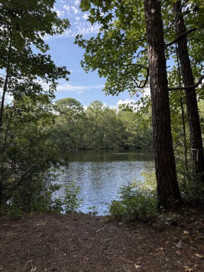 Hamlin Park - Mt Pleasant, SC