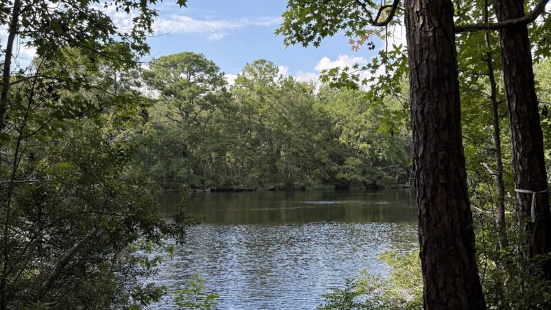 Hamlin Park - Mt Pleasant, SC
