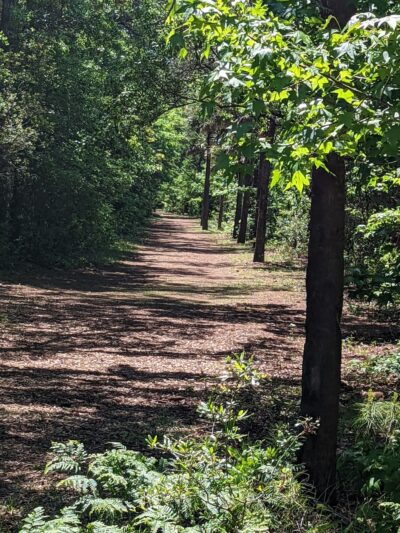 Hamlin Park - Mt Pleasant, SC