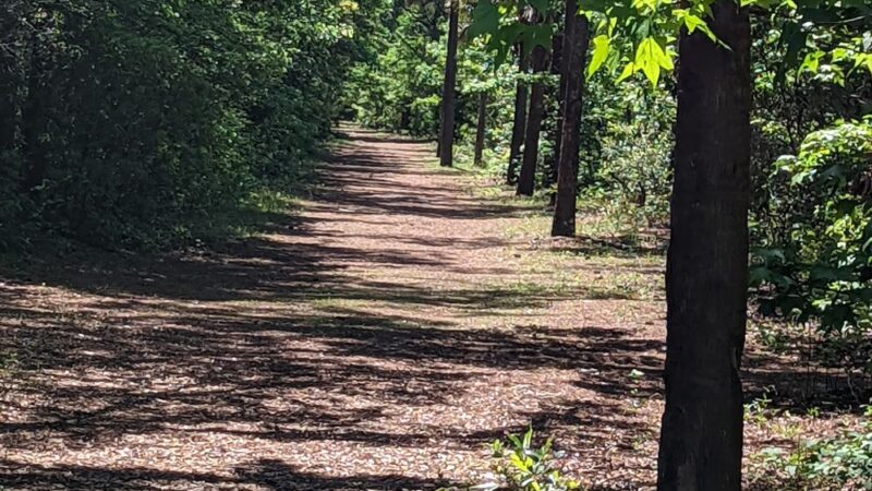 Hamlin Park - Mt Pleasant, SC
