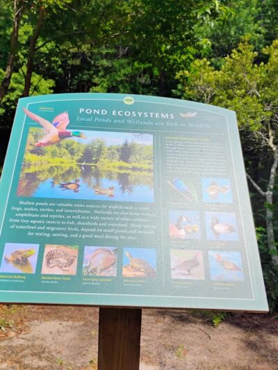 Hamlin Park - Mt Pleasant, SC