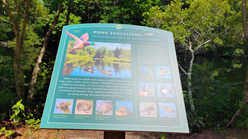 Hamlin Park - Mt Pleasant, SC