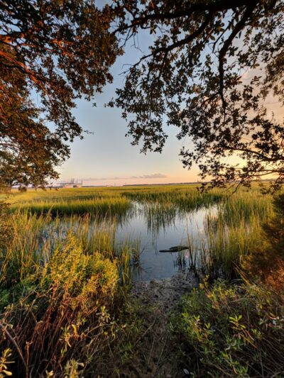 Kearns Park Trail - Mt Pleasant, SC