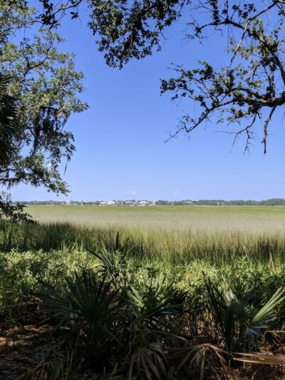 Kearns Park Trail - Mt Pleasant, SC